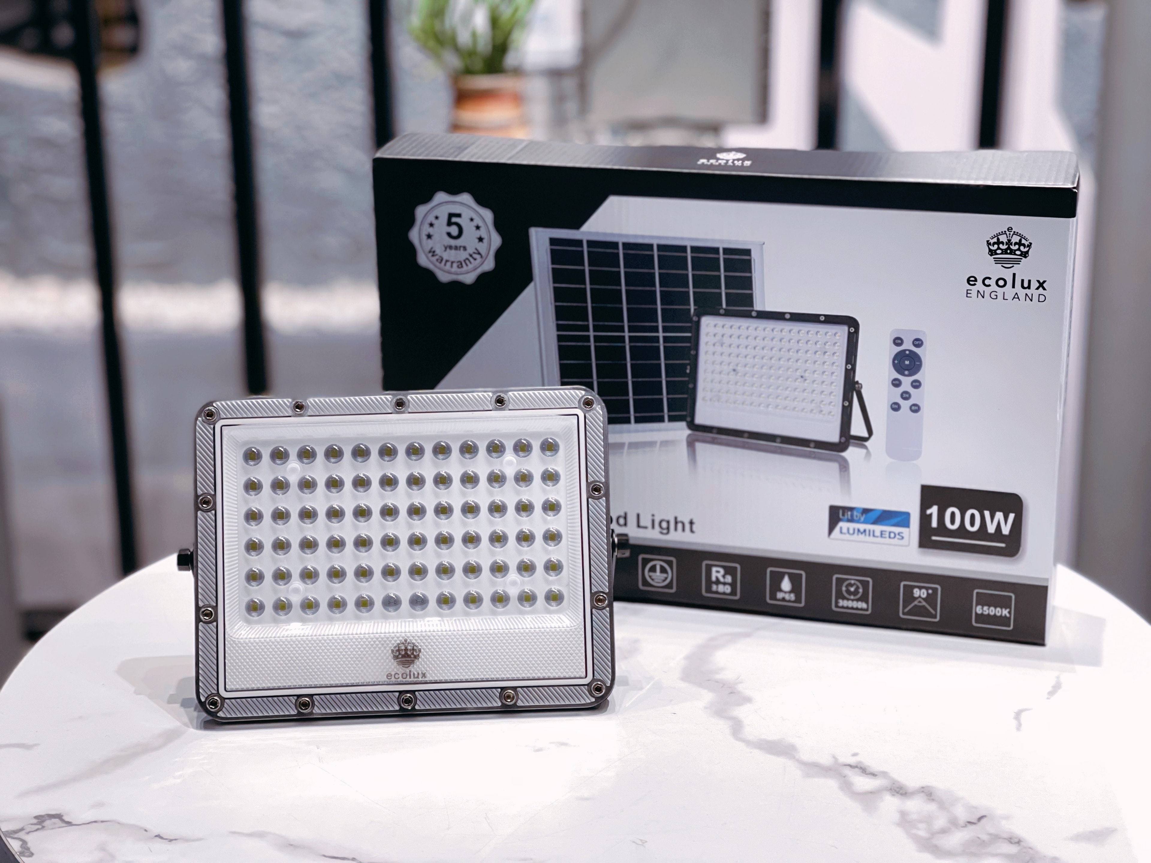 Ecolux 100W LED floodlight